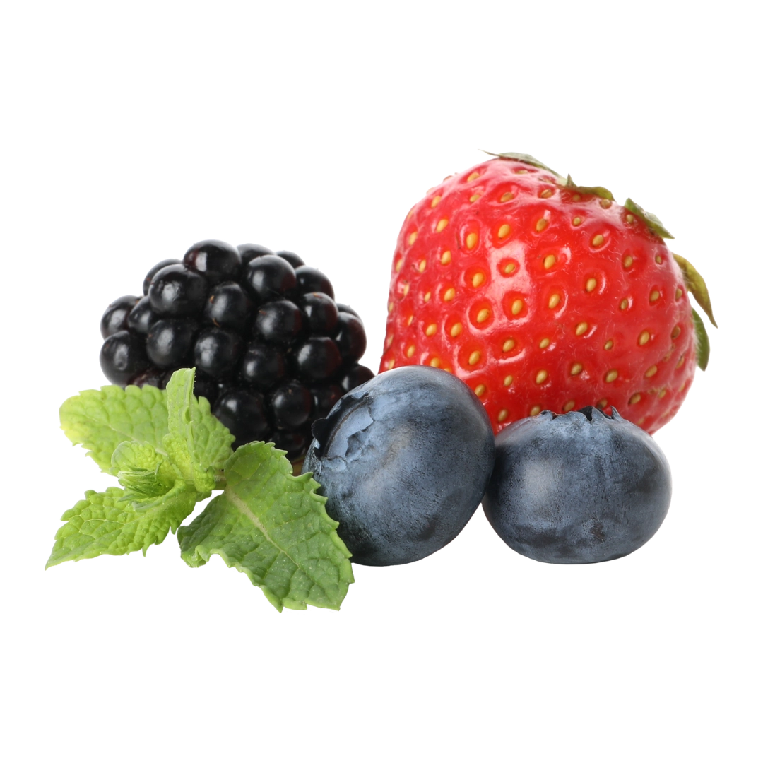 Nabízíme prodej sezónních rostlin.