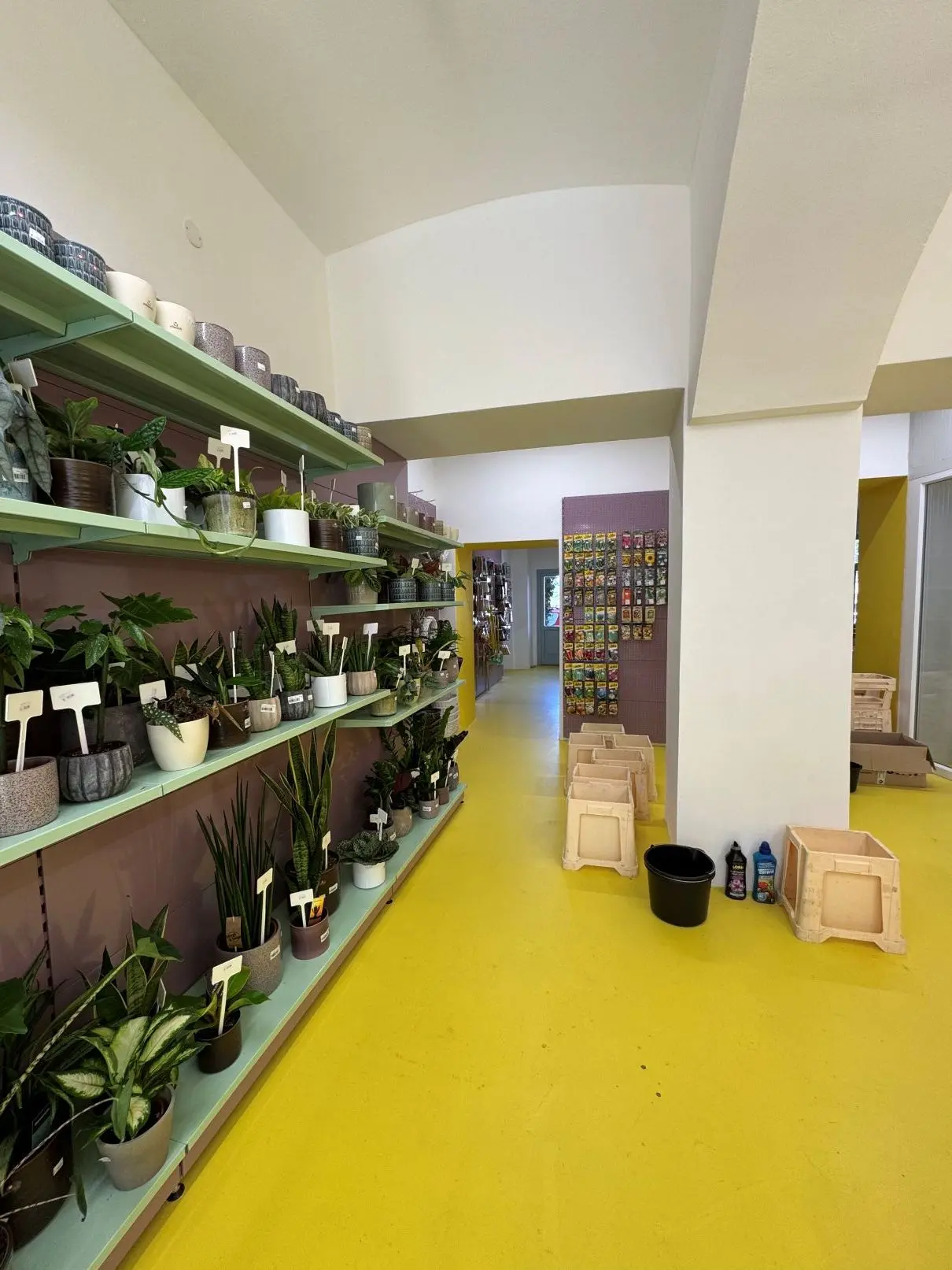 Příprava prodejny pro veřejnost Kapusta Tábor